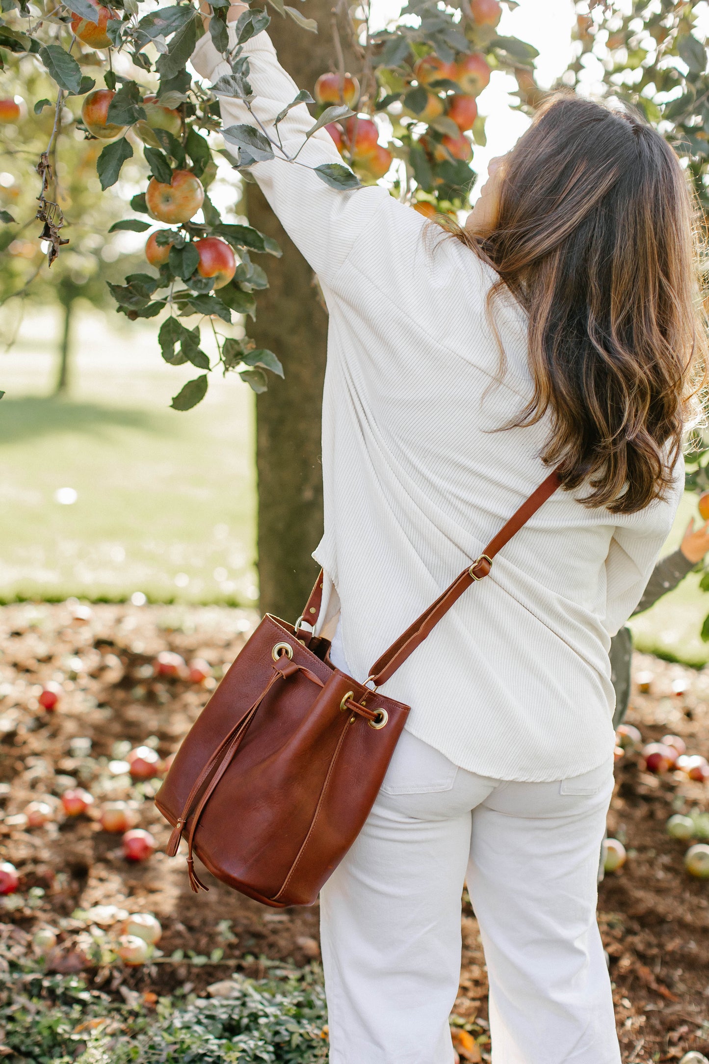 A woman wearing a cognac Urban Bucket Bag across her body, picks an apple from a tree in an orchard.