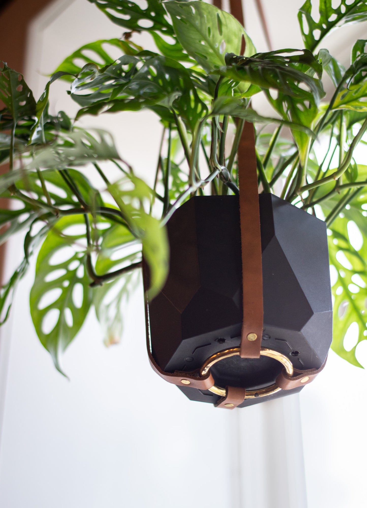A brass ring provides a sturdy bottom for pots on the Leather Plant Hanger.