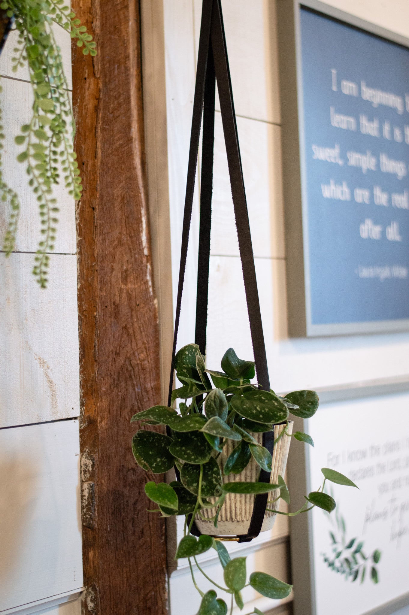 The Urban Southern handcrafted leather Plant Hanger in Black hangs on a hook mounted on wall post.