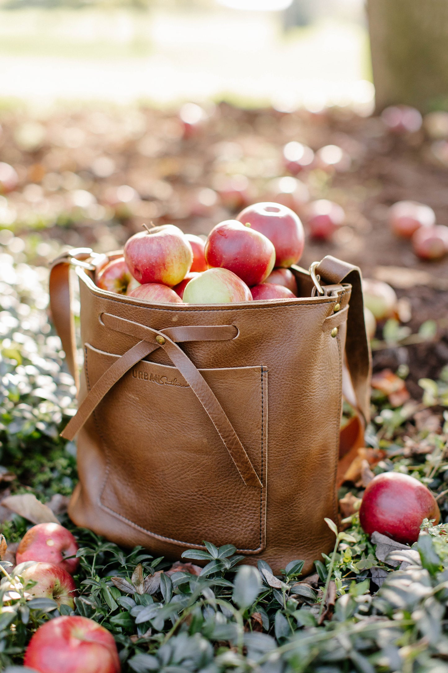 A Lexington Bow leather handbag in the color mocha, sits in an orchard field, full to the brim with apples, showcasing its large carrying capacity.