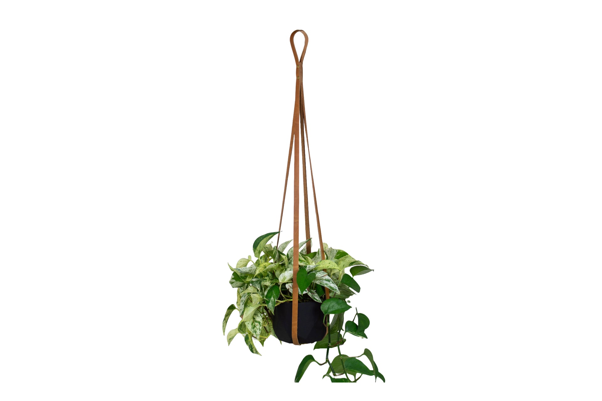 hay phanta plant hanger Leather Plant Hanger Black